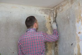 mold inspection