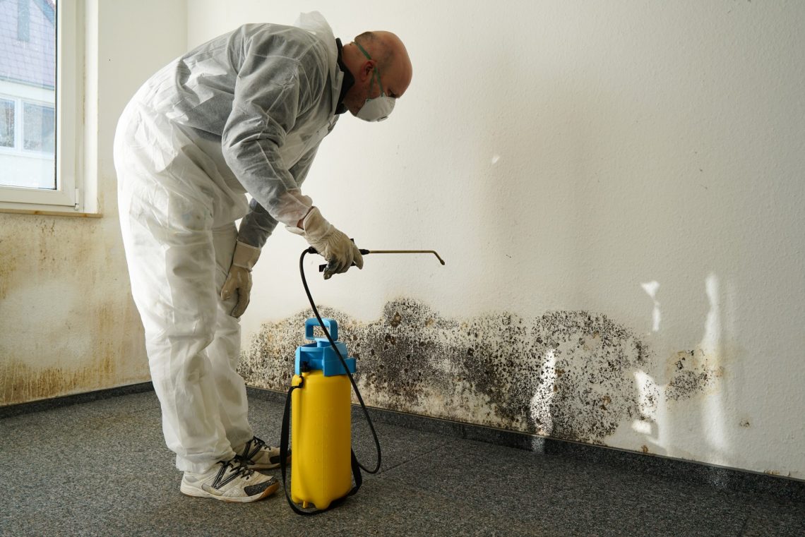 Getting Rid of Mold